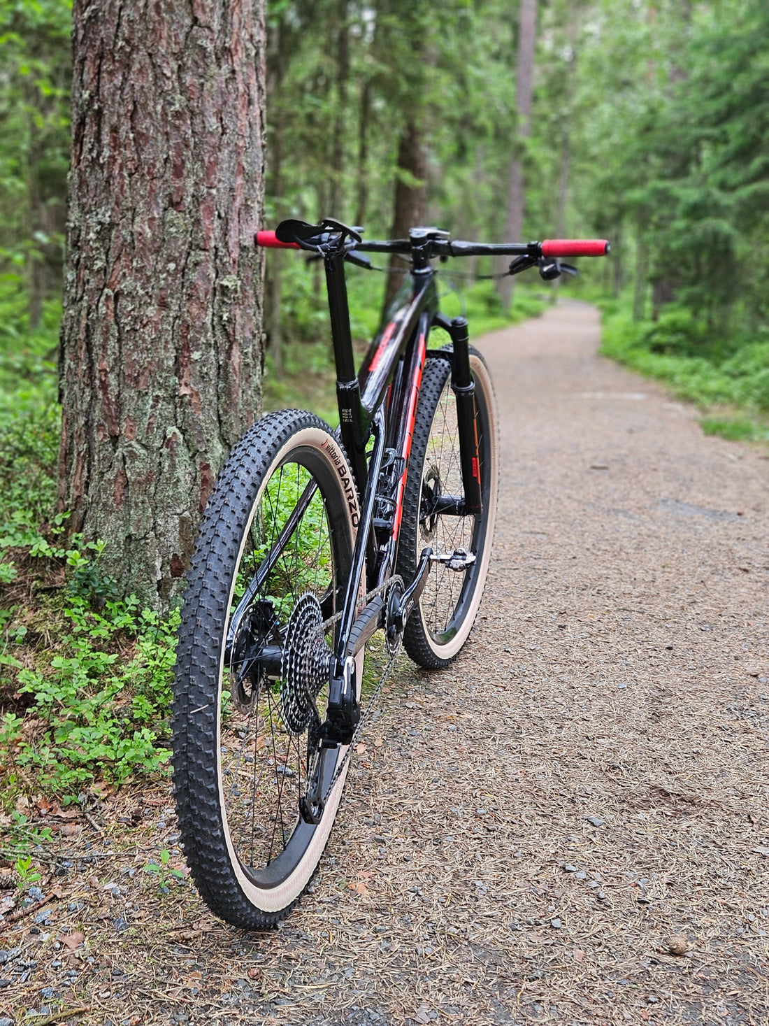 Pedal Performance Sponsorship Program